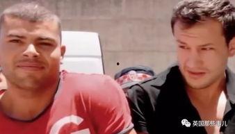 娱乐圈吃瓜群众小说推荐,瓜田里的明星秘闻